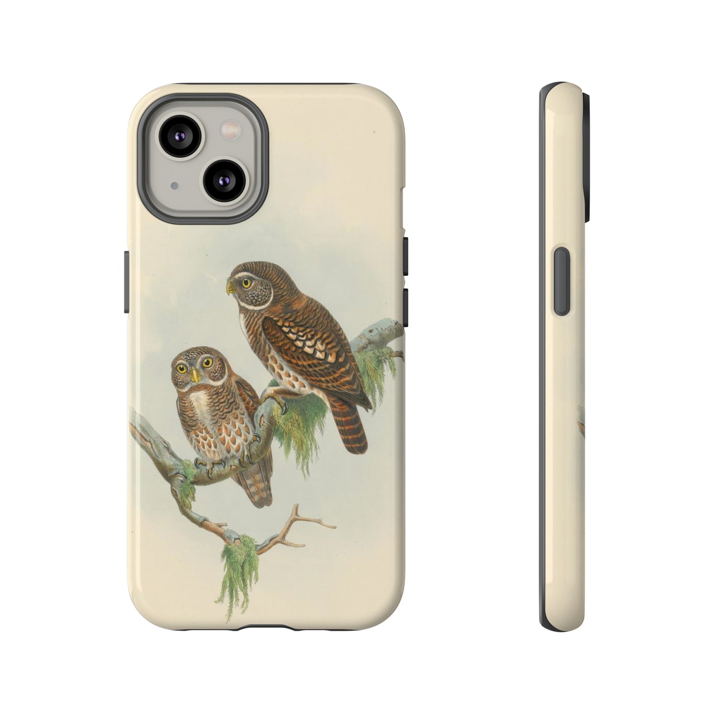 Owlets