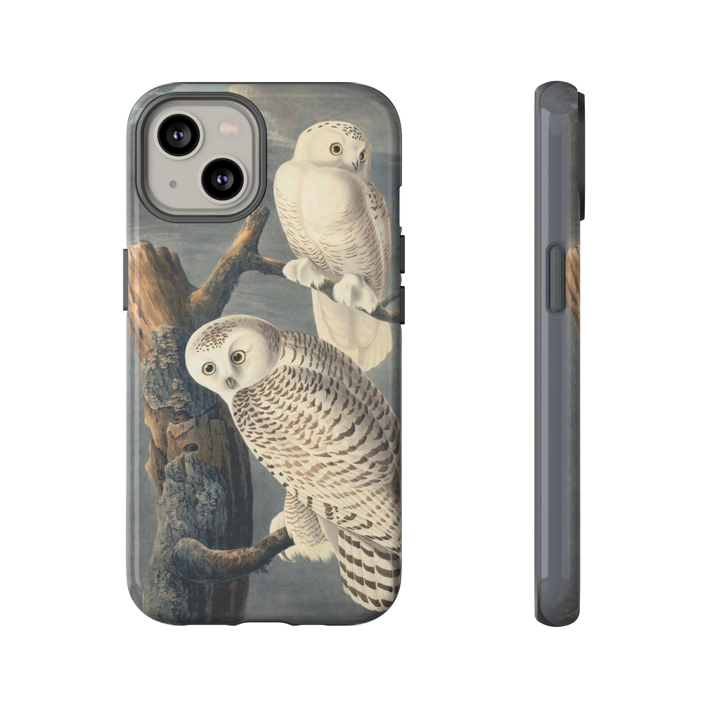 Audubon Snowy Owl