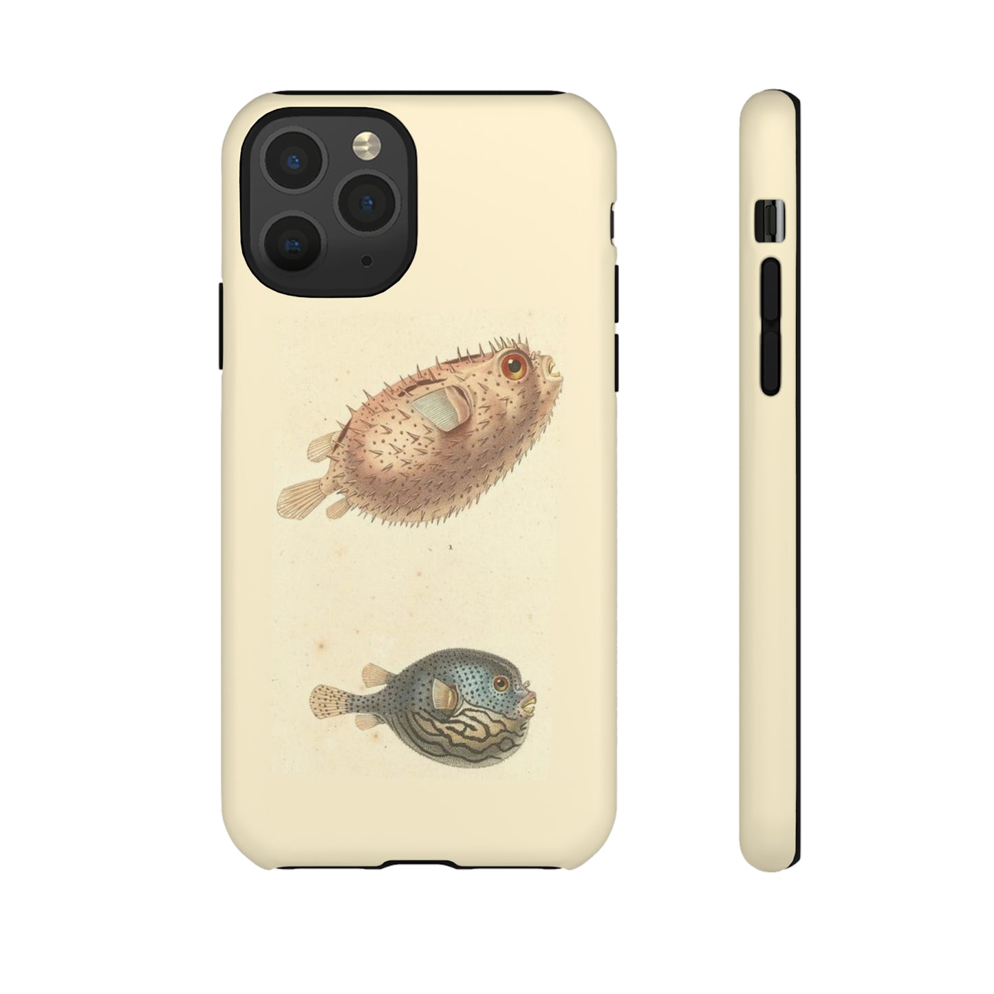 Double Puffer Fish
