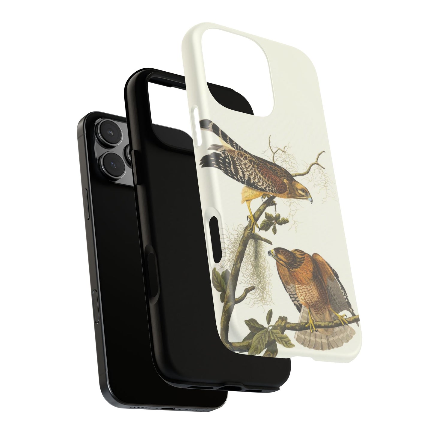 Audubon Red Shoulder Hawks
